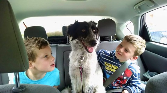 10494644_10106973808249181_52697984173844543_n